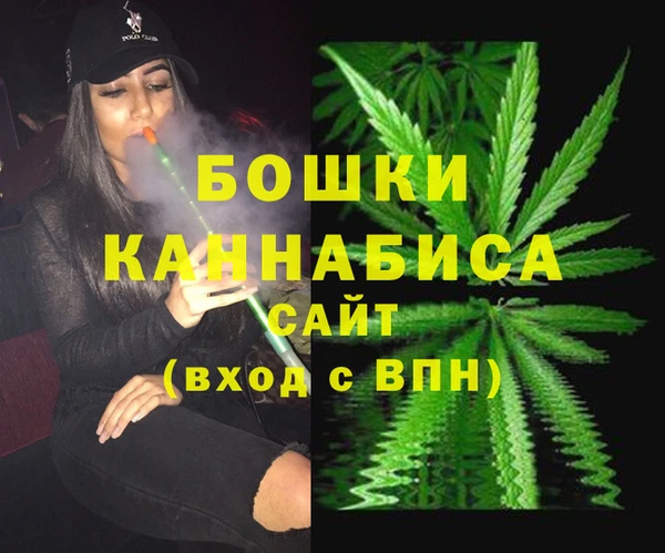 соль ск Алзамай