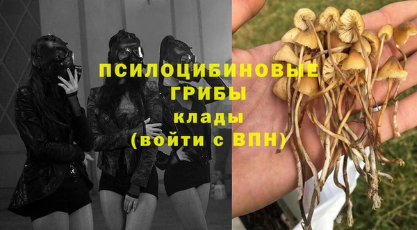 гидропоника Алексин