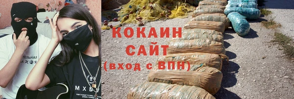соль ск Алзамай