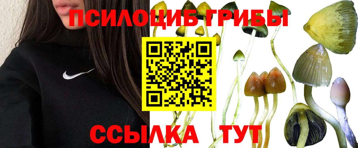 Белгород  Галлюциногенные грибы GOLDEN TEACHER  купить наркотики цена  Галлюциногенные грибы GOLDEN TEACHER  Вход с VPN 